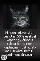 Extra kártya